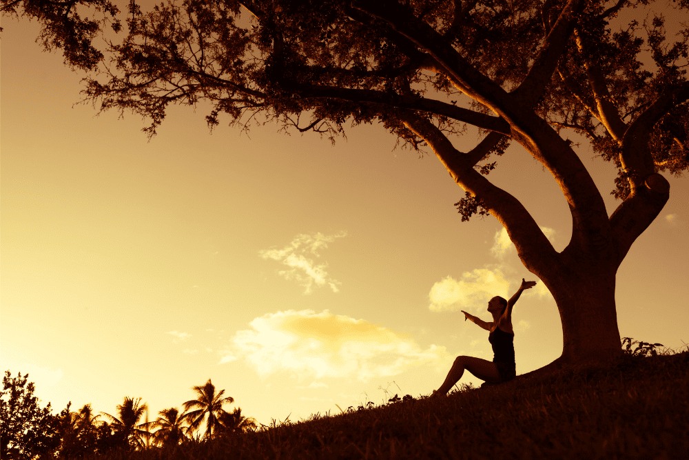 Photo of a woman sitting under a tree at dawn feeling connected with herself in nature. This represents how counseling can help you overcome life's traumas and feel happier.