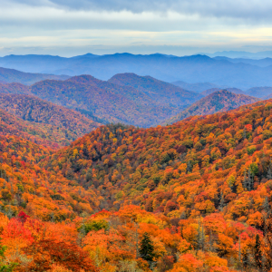 Photo of a mountain landscape in North Carolina.