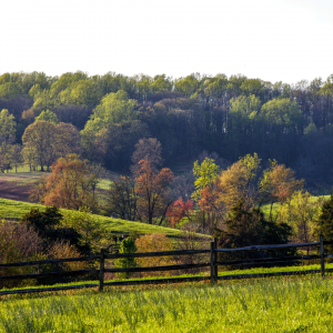 Photo of a field landscape in Virginia.