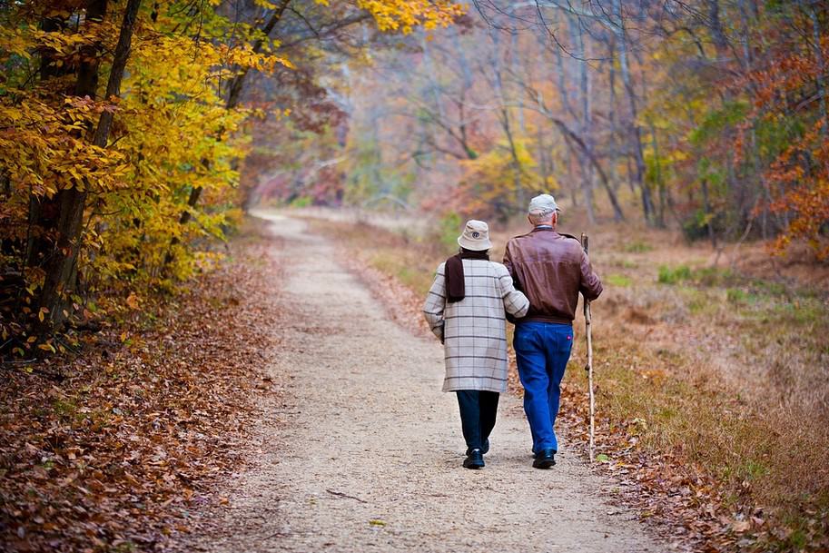 Photo of an older couple walking together in a park during Autumn. This represents how you can find happiness together through different phases in your life with the help of a couples counselor.