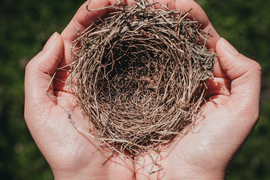 Photo of a person holding a bird's nest. Overcoming Empty Nest Syndrome means learning how to cope after your children move out of the family home. Refind happiness with Couple Therapy For Empty Nesters in NC and VA.