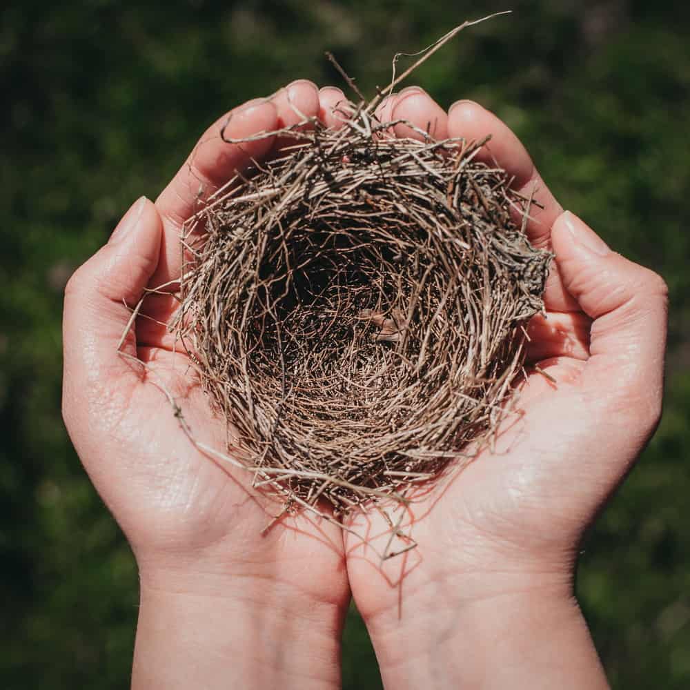 Photo of a person holding a bird's nest. Overcoming Empty Nest Syndrome means learning how to cope after your children move out of the family home. Refind happiness with Couple Therapy For Empty Nesters in NC and VA.